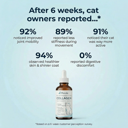 Norysa Advanced Cat Collagen