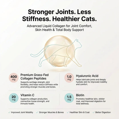 Norysa Advanced Cat Collagen